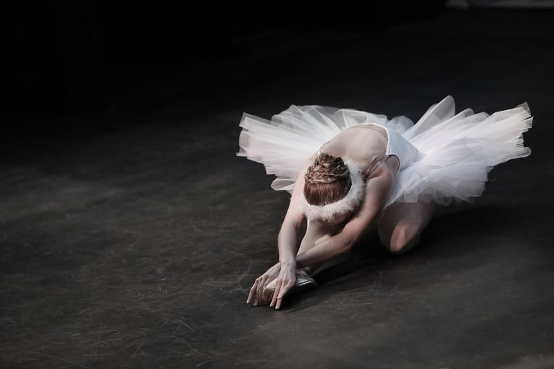 Ballet Workshops