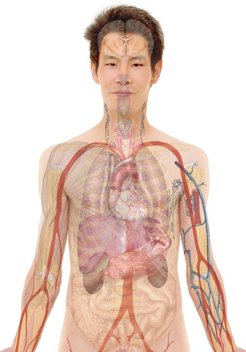 Body Scan Techniques